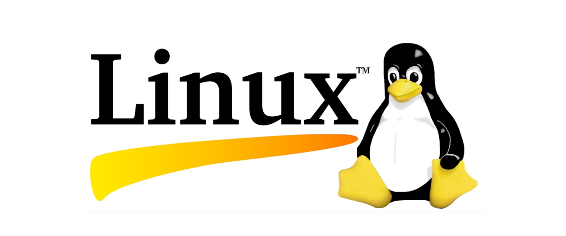 Qué es una distribución Linux, en qué se diferencian y cómo elegir una