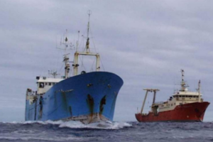 Empresas pesqueras atuneras se benefician de la automatización de trámites en Ecuador