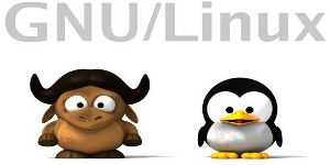 El 11 de agosto se dará inicio al nivel I de GNU/Linux en la Universidad de Avellaneda