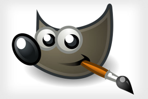 Gimp es el programa icono de edición de imágenes del Software Libre