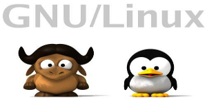 El poder de GNU/Linux y las cosas que se pueden desarrollar con Software Libre