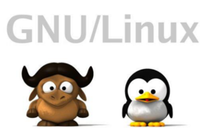 Siete distribuciones GNU/Linux para niños