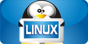 Disponible Arch Linux 2016.07.01