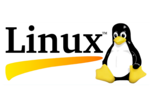 Linux cumple 25 años de vida