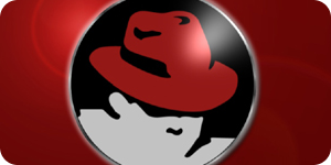 Red Hat Enterprise Linux presenta la versión 5.6 beta