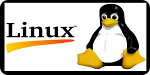 El objetivo es desarrollar cuatro distribuciones diferentes de Linux para los distintos fines
