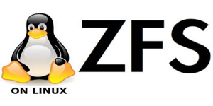 OpenZFS desarrollo Open Source del sistema de ficheros