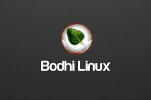Bodhi Linux es una distribución liviana que necesita muy poco para funcionar