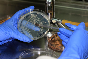 Microbiólogos podrán capacitarse en redacción de artículos científicos