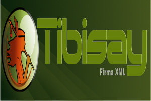 Tibisay: programas de software de seguridad electrónica desarrollados por venezolanos