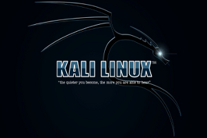 Kali Linux 2.0 se pasa al modelo rolling release