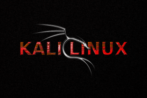 Kali Linux, está basado en Debian y especializado en seguridad