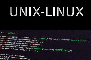 En 1990 el ingeniero de software finlandés Linus Torvalds creó el kernel de Linux basado en Unix