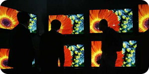 Crean televisor que emite en 3D sin gafas con un controlador de Software Libre