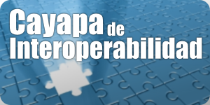 La actividad se orientará a la revisión de las disposiciones técnicas contenidas en el Marco de Interoperabilidad