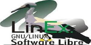 Poner en manos de la comunidad el futuro de Linex asegura su continua evolución y su sostenibilidad económica