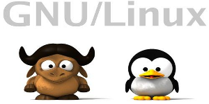 La pluma funciona mediante el sistema operativo Linux