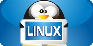 Software Libre, una alternativa para evitar ilegalidades