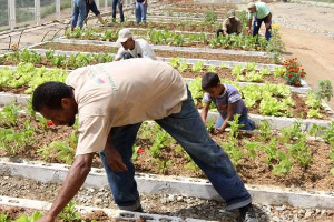 Discuten 151 proyectos agrícolas con factibilidad científica y tecnológica