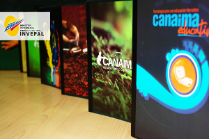 Los diseños fueron realizados por los creativos del CNTI e Invepal