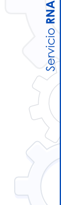 texto; servicio repositorio nacional de aplicaciones (RNA)