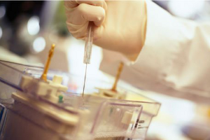 Venezolana encabeza investigación sobre vacuna que inmuniza ante el cáncer