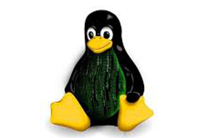 El kernel definitivo estará para mediados de agosto