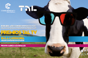 ConCienciaTv está nominada por segundo año consecutivo en la 4ta. Edición de los Premios TAL