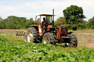 Mppeuct fortalece Motor Agroalimentario a través de la articulación institucional