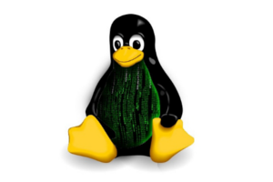 El próximo Kernel LTS será el kernel 4.9