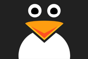 Las 5 distros Linux que cambiaron el software libre